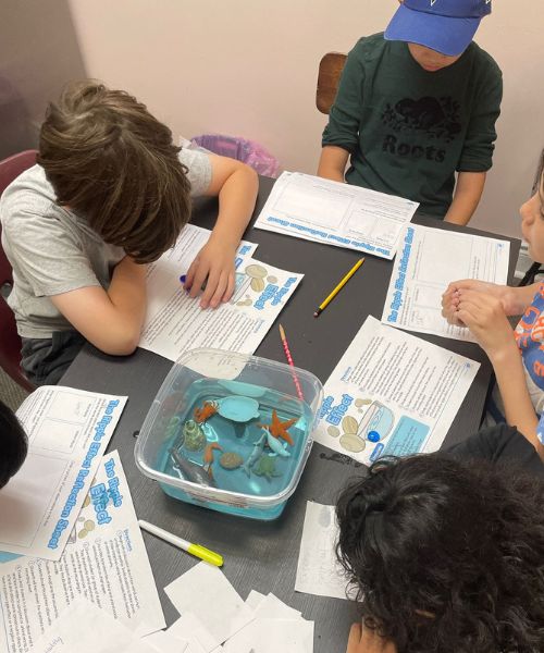 Children playing in Social Groups for Autism in Brampton center